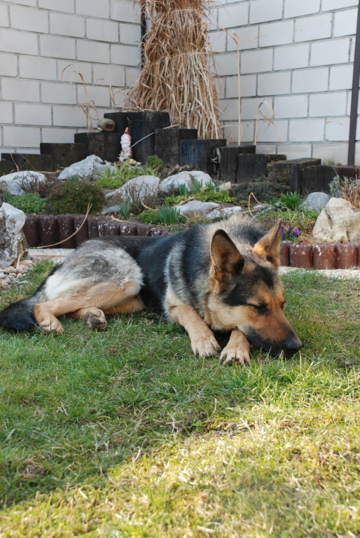 DSC_1379.JPG