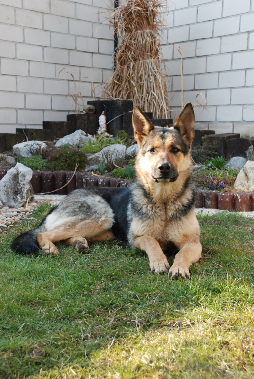DSC_1380.JPG
