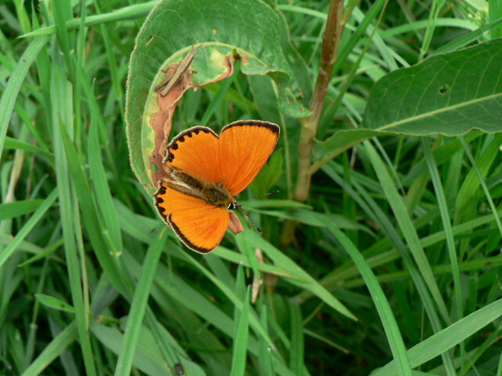 P1080570.JPG