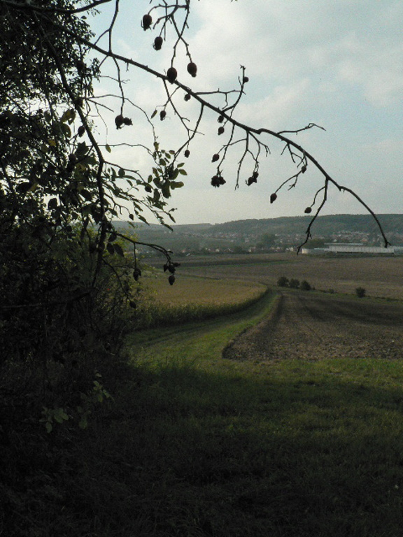 P1080941.JPG