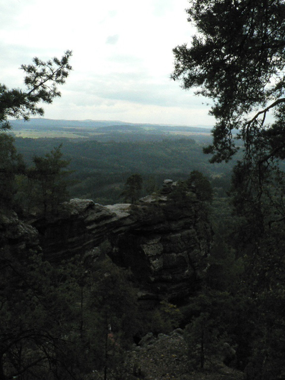 P1090038.JPG