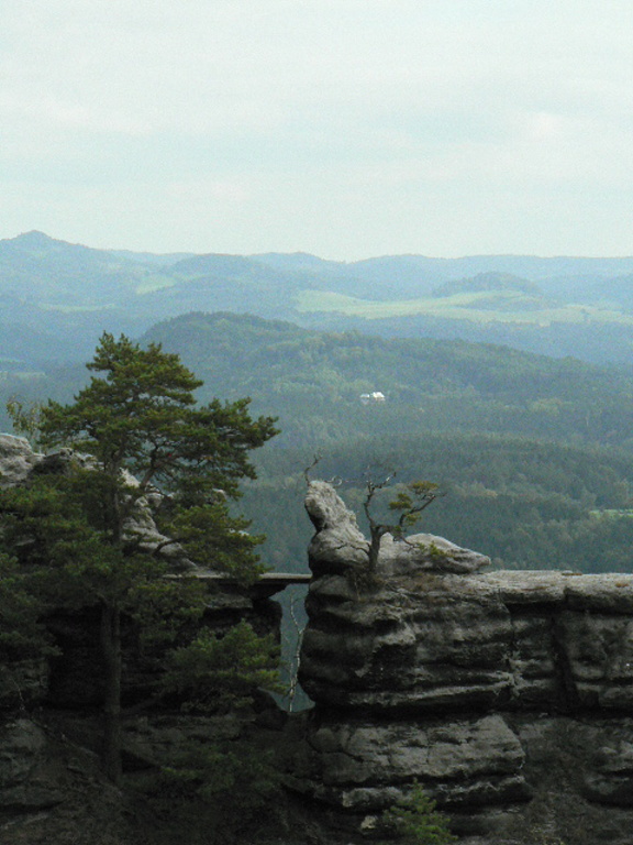 P1090054.JPG