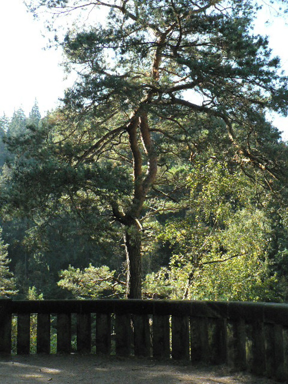 P1090070.JPG