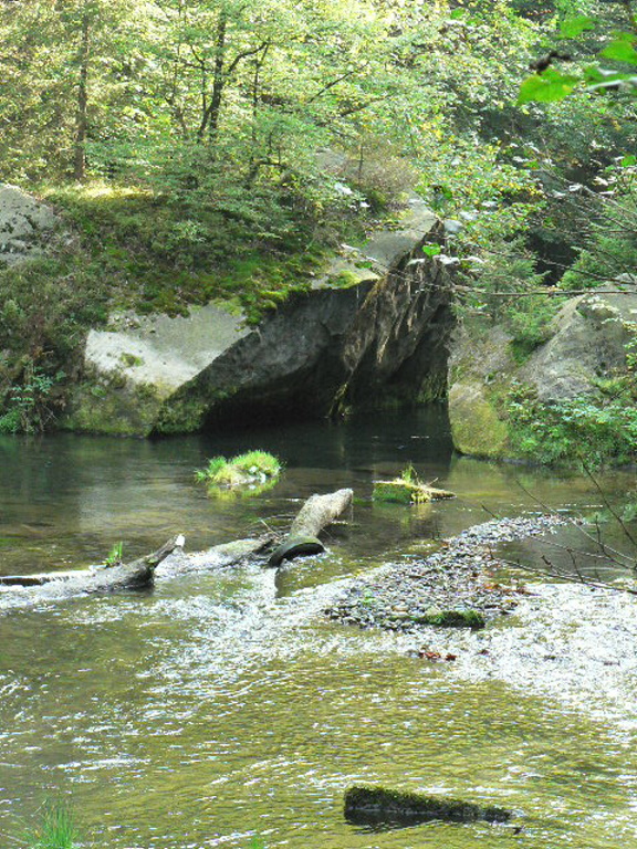 P1090091.JPG