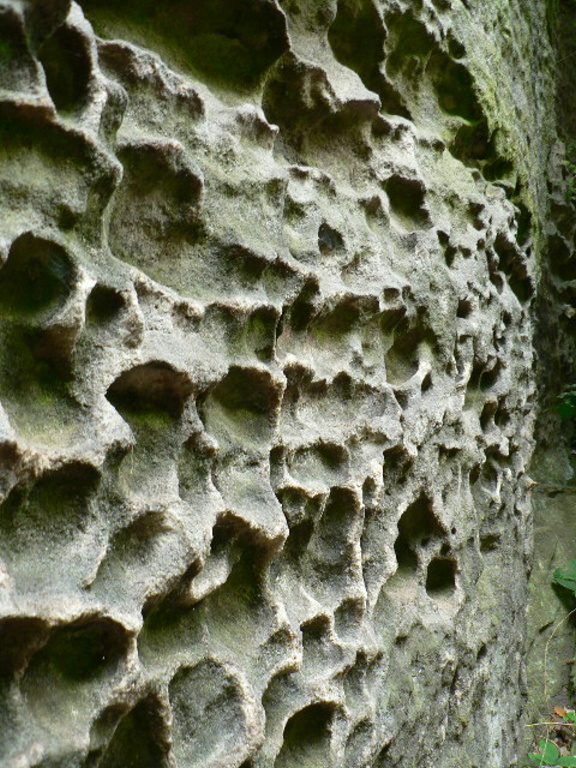 P1090149.JPG