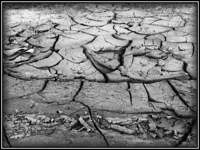 3.6.2010-089